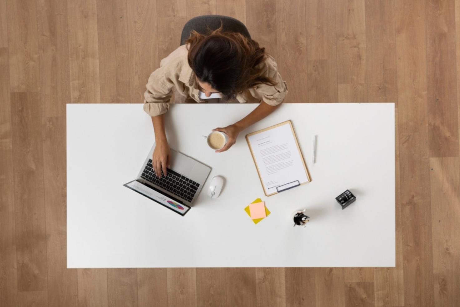 Professional business consultation meeting